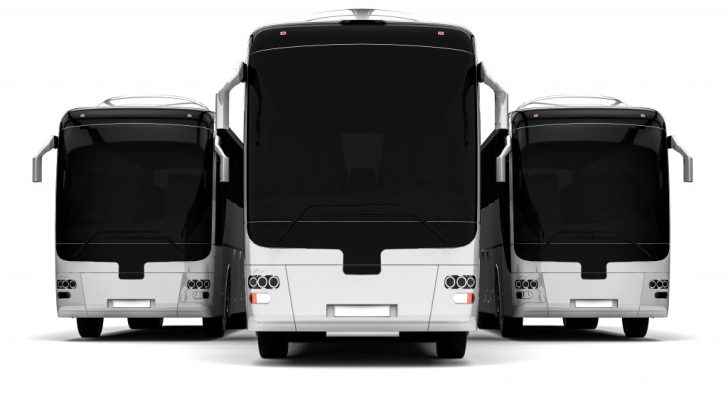 Three buses on a white background